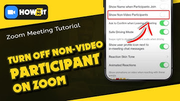 How to turn off non video participants on zoom 2024 | Skill Wave