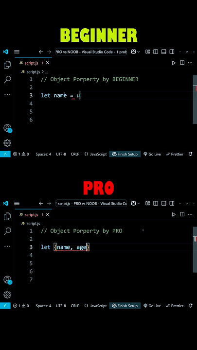 Noob vs Pro | Junior Vs Senior | Developer #webdevelopment #webdesign #html #css #coding #javascript