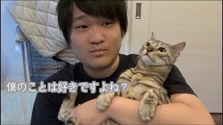 トミックが嫌いな人は