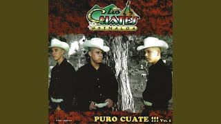 Video thumbnail of "Los Cuates de Sinaloa - Flor Hermosa"