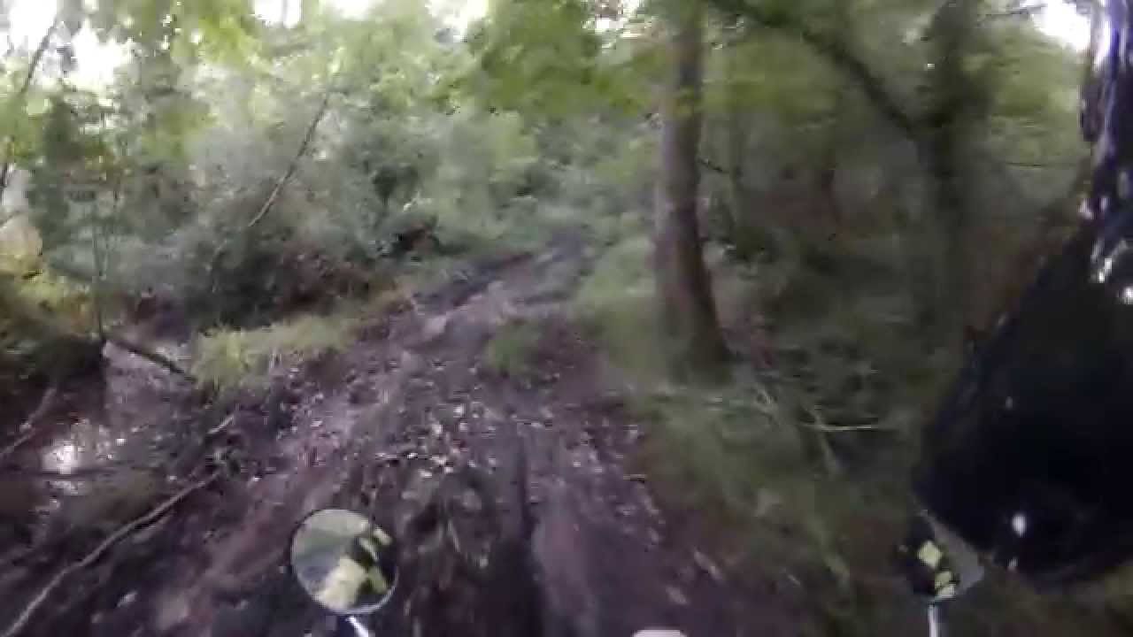 West Worldham - Binswood Lane (Byway, E-W)