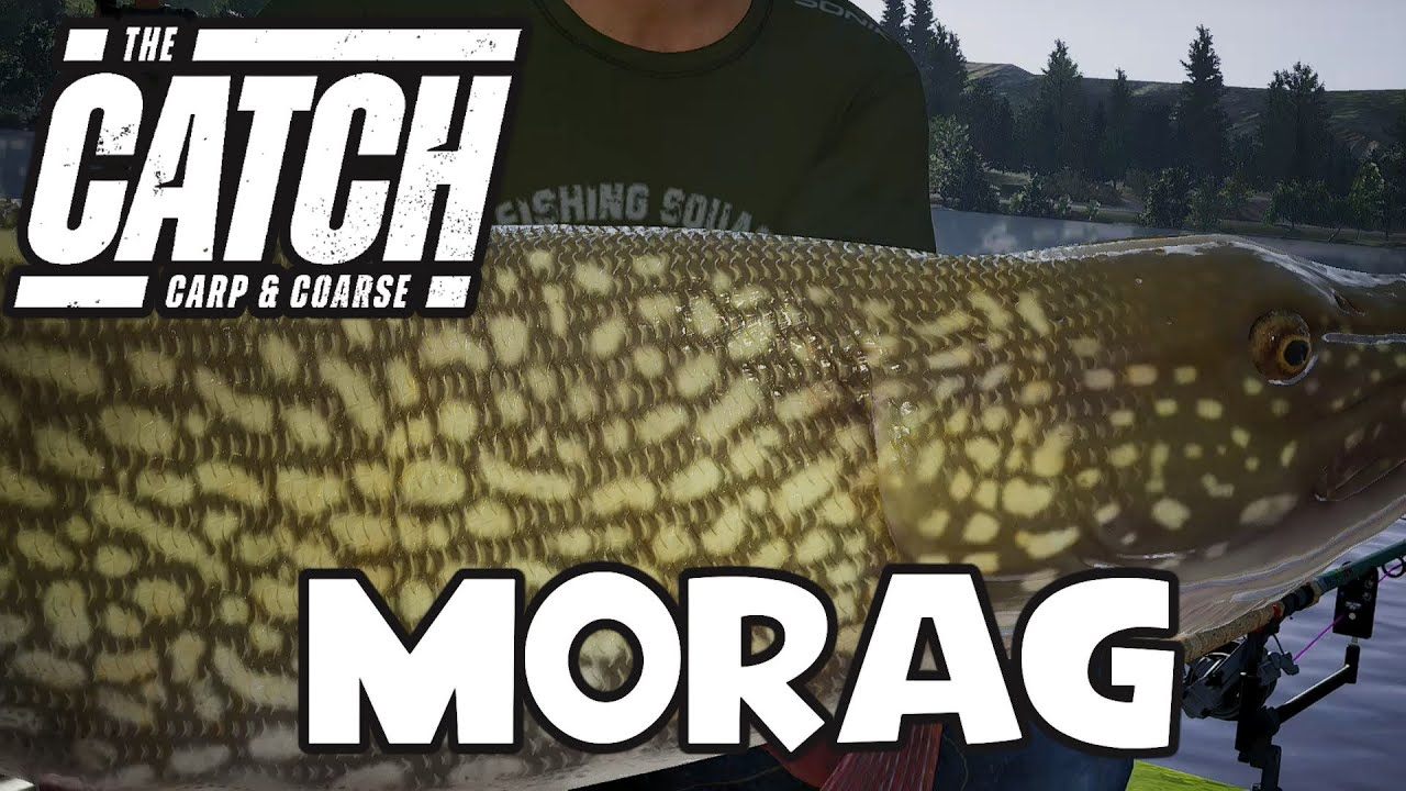 The Catch: Carp & Coarse - Morag - 48lb 14oz - Boss Fish - Loch Mickle 