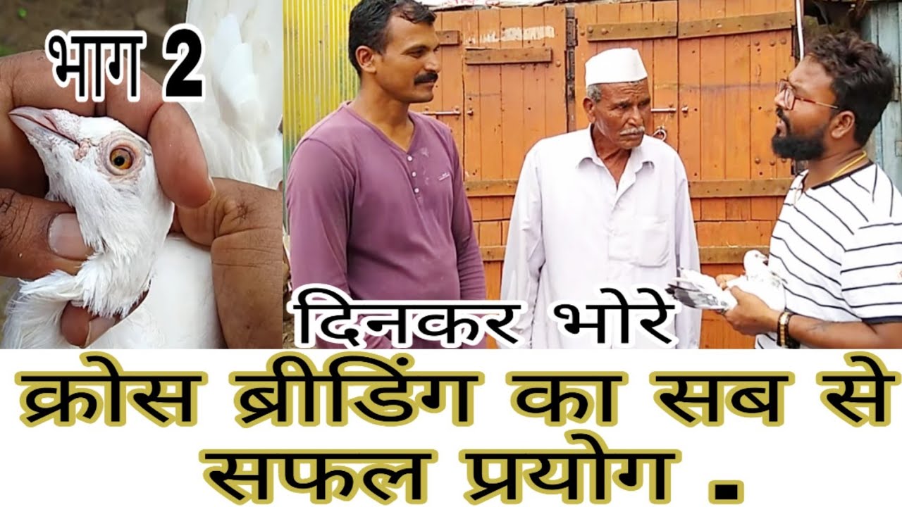 DINKAR BHORE SANGALI ZILHA KE SAB SE SAFAL CROSS BRIDIR .
INKE KABUTARO KA KOI TOD NAHI.