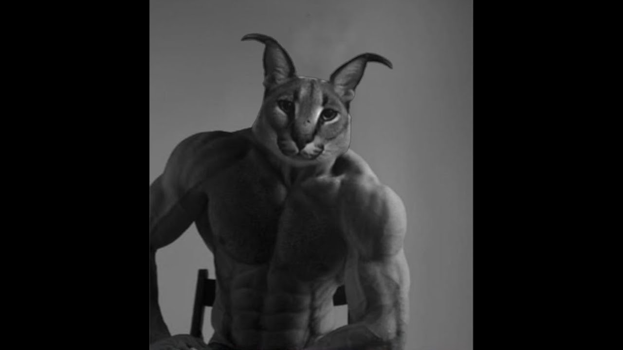 Rust | ukn clip dump | old Recoil - YouTube