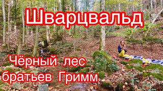 Прогулка по горам ШВАРЦВАЛЬД | Обед в горах | Водопад | Германия |