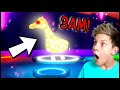 *HACKED* THIS IS WHY You DO NOT MAKE A NEON PET AT 3AM in Roblox ADOPT ME! Prezley