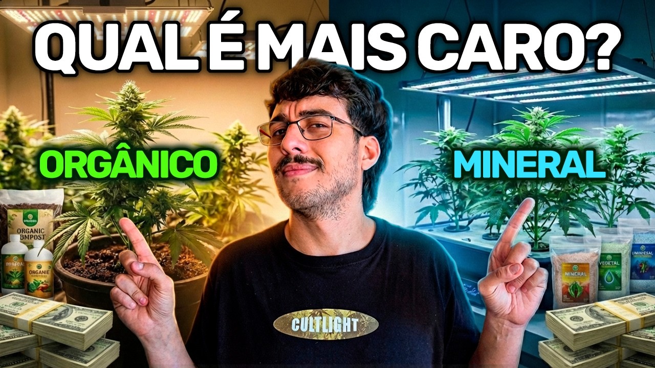 Quanto custa cultivar no mineral? E no orgânico? (Eu calculei tudo)
