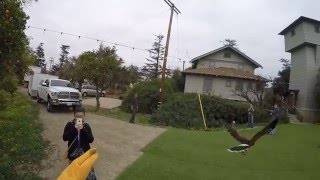 Falconry Experience at Adam's Falconry Service