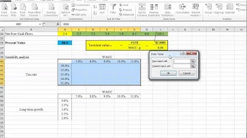 The Sensitivity Analysis using Excel - Two Variables Case