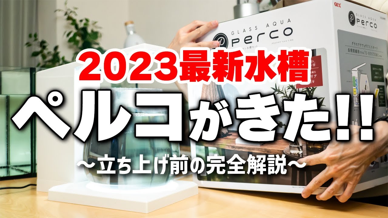 Introducing Perco, an all-in-one system aquarium made in Japan