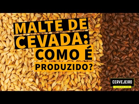 Vídeo: De Que Grãos De Cevada São Feitos