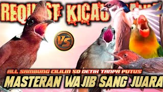 MASTERAN WAJIB‼️GEREJA TARUNG KAPAS TEMBAK LOVEBIRD SAMBUNG CILILIN KONSLET 50 DETIK TANPA PUTUS