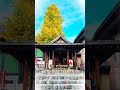 女性如果拥有生理性喜欢者 也是一件很幸福的事 幸福的事 亲密关系 红叶秘境 高幡不動尊 东京近郊的红叶与五重塔 一叶知秋秋意浓 晚秋枫叶 #日本司导 #导游 #Guide #Kyoto #中日翻译