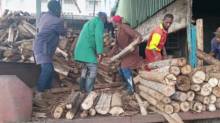 Kenyan tea factories use wood to fuel the dryers that process tea.