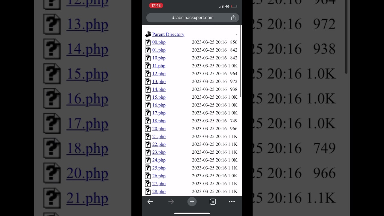 Teaching you XSS in 20 seconds