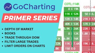 Orderflow - Depth of Market and Trade Filter Features Explained!