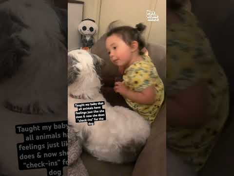 Girl Does Cute Wellness Check On Dog Dogs CutenessOverload DogShorts 