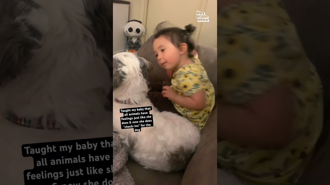 Girl Does Cute Wellness Check On Dog 