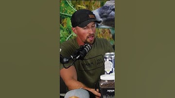 Can you mix grains and brassicas in plots? PART 1