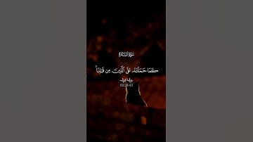#اكسبلور #لايك #المصحف #quran #allah #سورة_البقرة #تلاوة_خاشعة
