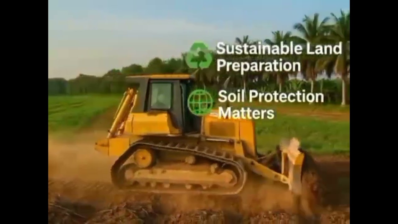 Oil Palm: Early-Maturing Varieties, Value Chains & Global Demand | Green Gold Agribusiness 