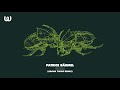 Patrice Bäumel - Roar (Adana Twins Remix)