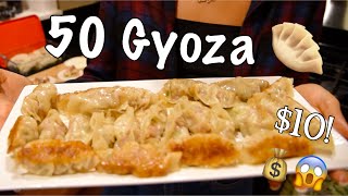 How To Make 50 Gyoza Dumplings For $10!