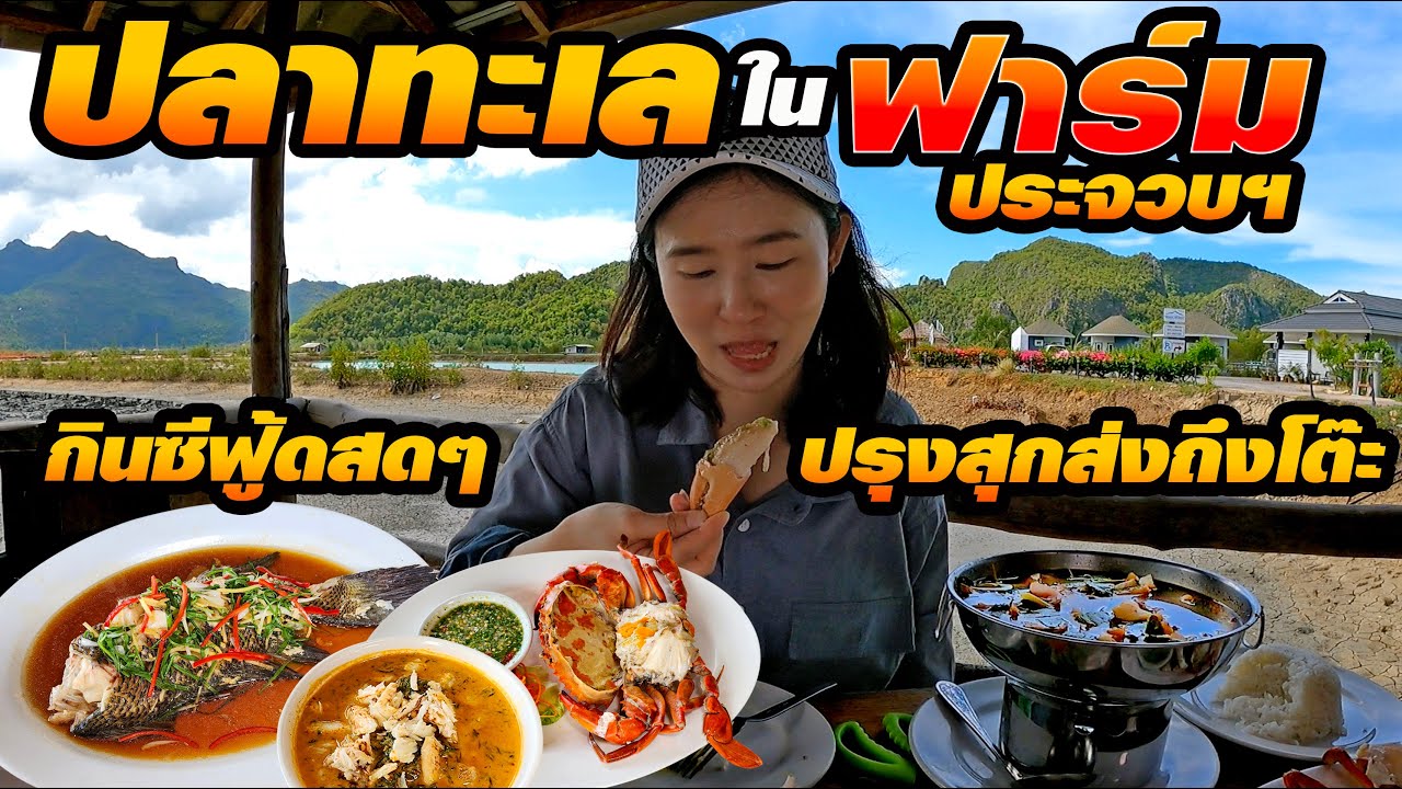 กินซีฟู้ด ปลาทะเลหายากในฟาร์ม จ.ประจวบคีรีขันธ์