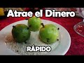 ATRAE EL DINERO RÁPIDO | PROTECCIÓN ECONÓMICA | con Arroz, limón y Clavos