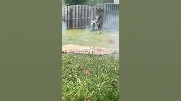 FIREWORKS IN SLOW MOTION!!