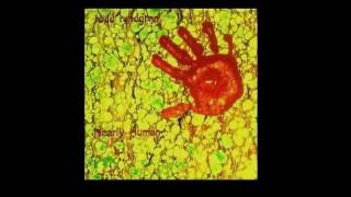 Todd Rundgren - Fidelity (demo)