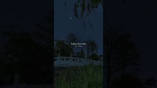 Tujhme Raat Meri Tujhme Din Mere - Tu Hi Yaar Mera #songlyrics #shorts #lyrics