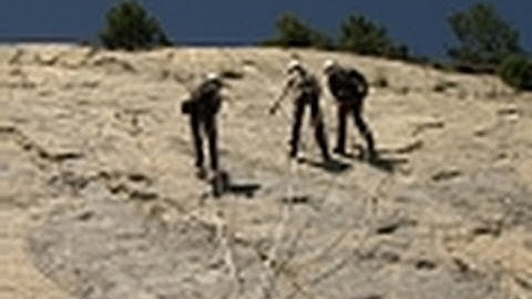 Dino Footprints | Jurassic CSI