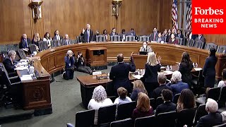 New Judicial Nominees Face Scrutiny Of Senate Judiciary Committee