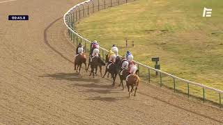 Vidéo de la course PMU PRIX DU COEUR DES PRINCES