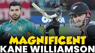 Kane Williamson Hits Magnificent 60 | New Zealand vs Pakistan | PCB | MA2L