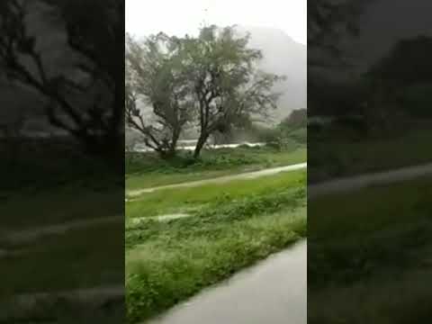 هنا ابين عدن اليمن السعودية قطر العراق بغداد الجزائر المغرب الاردن مصر Short Shorts 