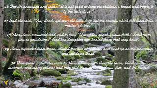 Daily Bible Verses(English)|Matthew 15:1-39 #bibleverses #gospel #thegospelaccordingtomatthew