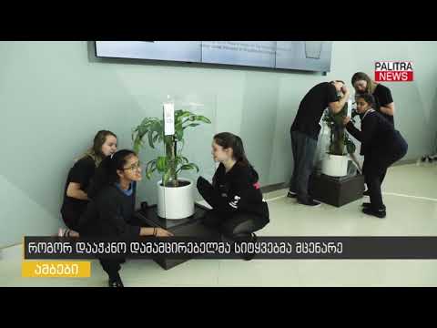 როგორ დააჭკნო დამამცირებელმა სიტყვებმა მცენარე