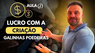 Aula 2 - Lucro com a criação de galinhas caipiras