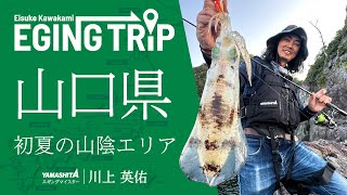 【エギングトリップ】山口県 山陰エリア ～春から夏へ。初夏のアオリイカが好むポイントとは？～