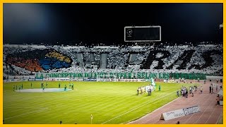 Tifo Green Boys : Raja Casablanca vs. MAS Fez - 