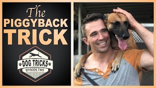 How to Teach Your Dog the Piggyback Trick