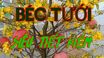 Béc tưới siêu tiết kiệm nước. Hiệu quả cao.