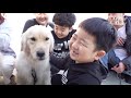 Boys Hug A Heartbroken Dog And Let Her Know How To Love And To Be Loved (Part 3) | Kritter Klub