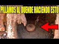 DUENDE REAL CONSTRUYE MUEBLES en su CASITA | Laguna Negra