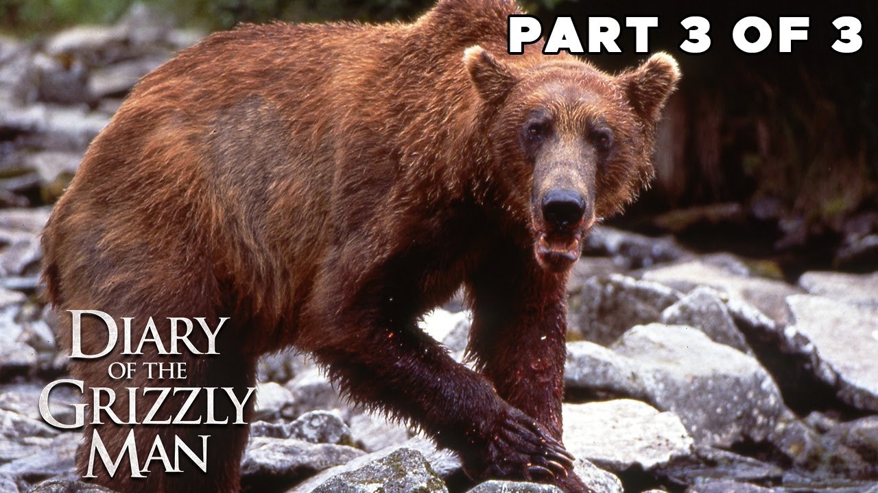 Diary Of The Grizzly Man