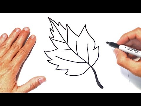 Video: ¿Cómo hacer una hoja de dibujo?