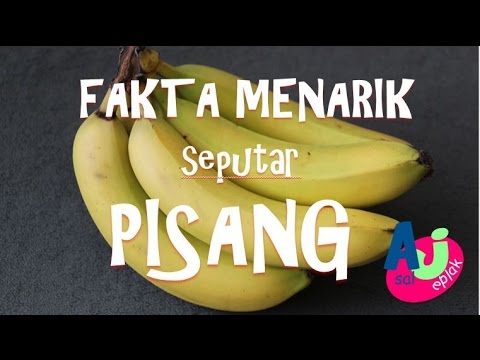 [Asaljeplak] Fakta Menarik seputar Pisang