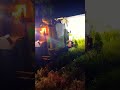 Gam night harvesting 0639